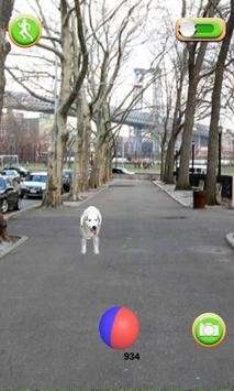 幼犬GO图2