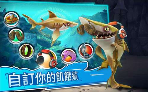 鲨鱼进化图5