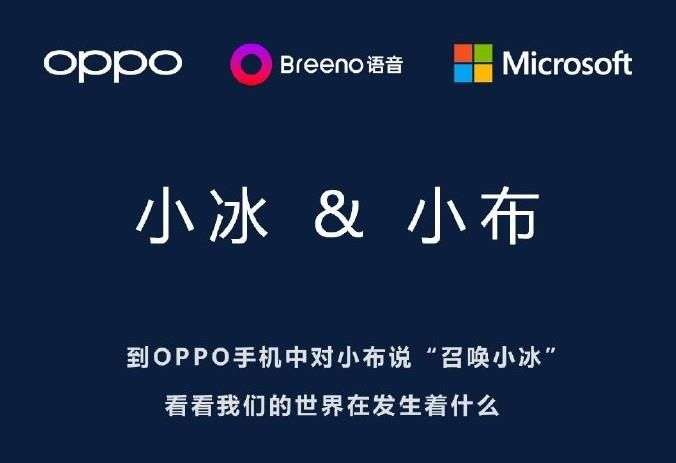 oppo Breeno识物软件图2