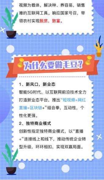 毛豆视频图2
