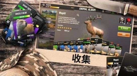 狩猎竞赛图4