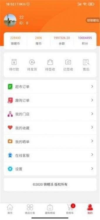 锦鲤派图3