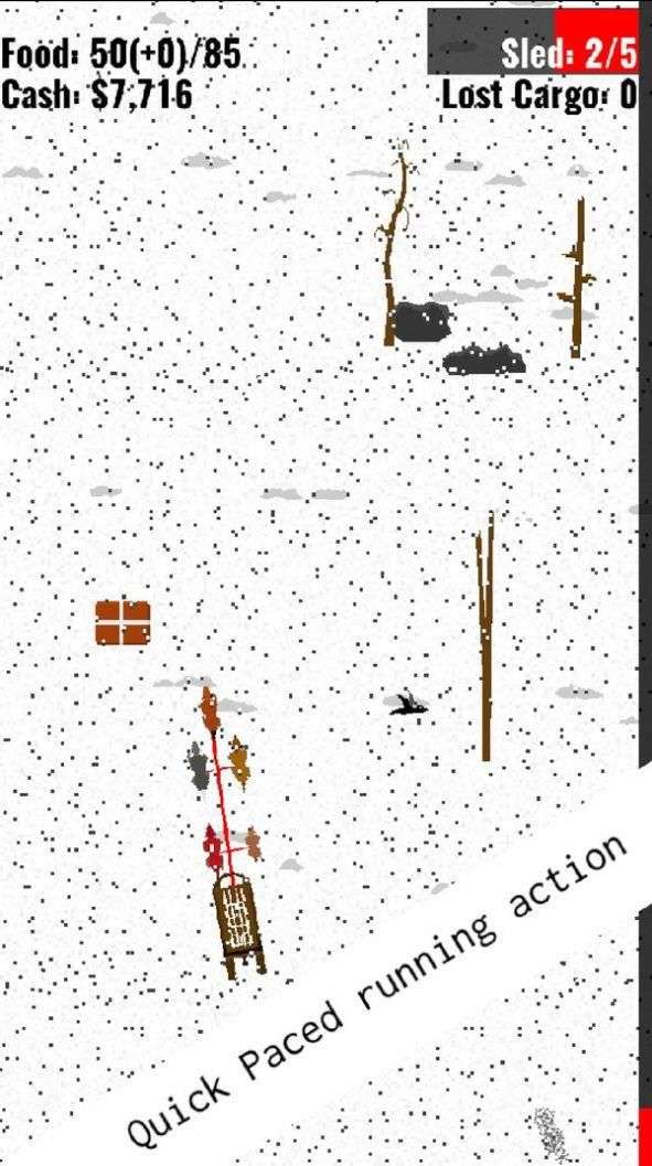 雪橇犬的生活图1