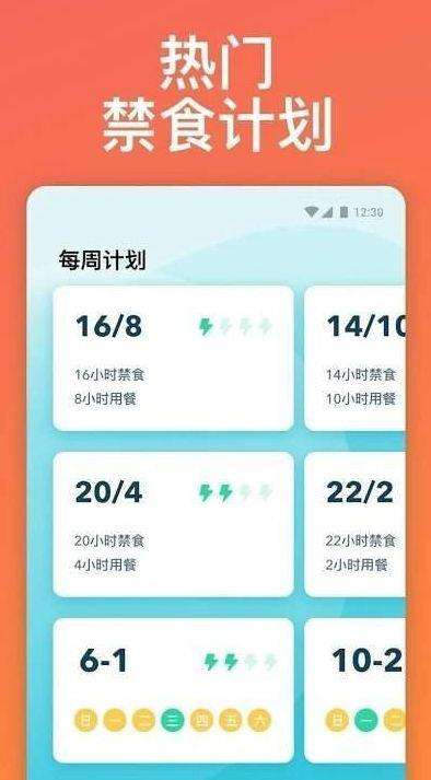 Window禁食追踪器图3