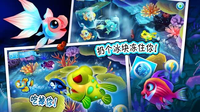 大鱼吃小鱼Online豪华版图2