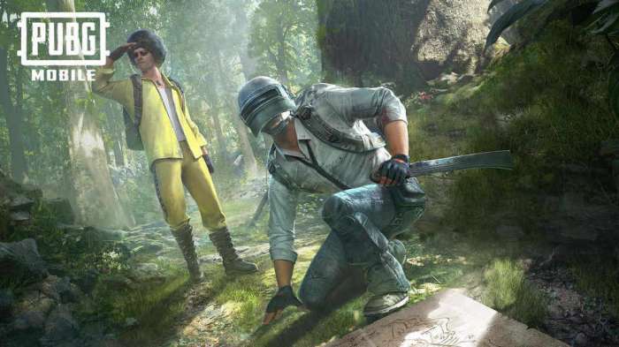 PUBG MOBILE INDIA图2