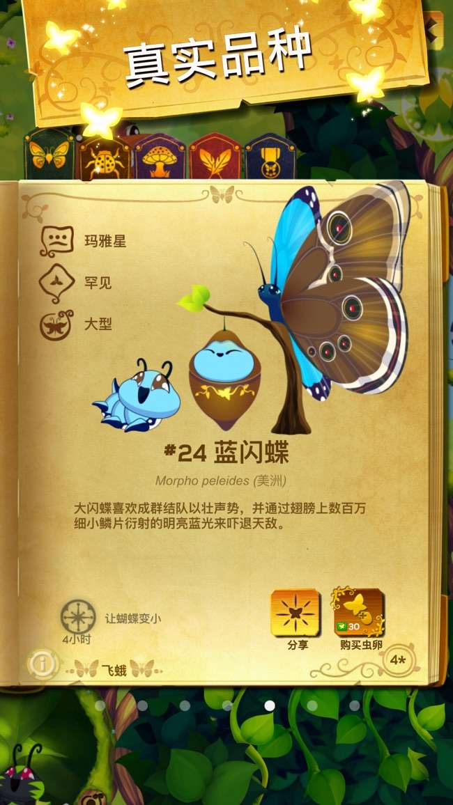 彩翼：蝴蝶保护区图3