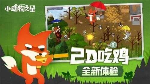 小动物之星测试版图4