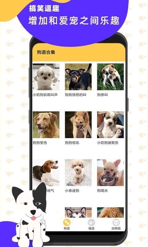 猫狗翻译神器图1