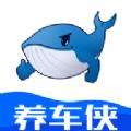 养车侠