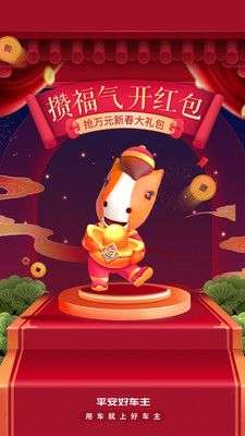 平安好车主图1