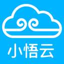 小悟云