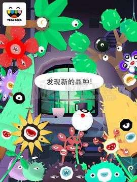 托卡实验室植物图3