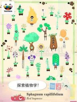 托卡实验室植物图1