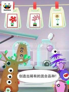 托卡实验室植物图2