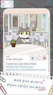 猫明星之旅图3