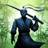 忍者武士：暗影格斗
