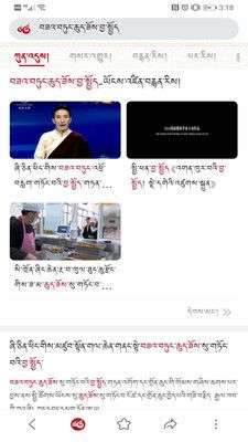 云藏搜索图1