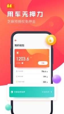 驾呗图2