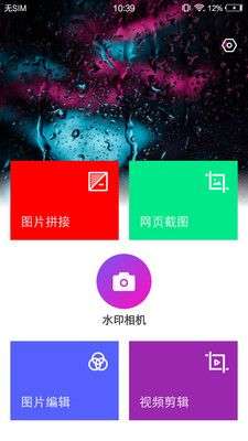 喵小姐图1