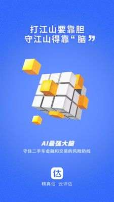 精真估云评估图3