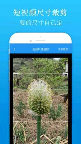 去水印吧破解版图2