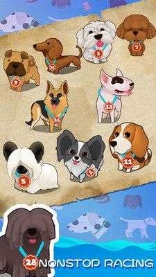 聪明的狗图3