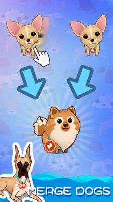 聪明的狗图1