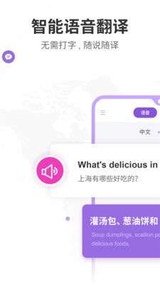 语音翻译器图1