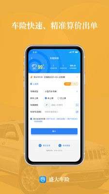 盛大车险图1