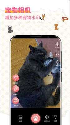 宠物翻译图4