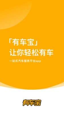 有车宝图1
