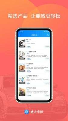 盛大车险图2