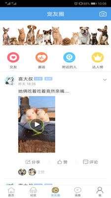 宠物之家图4