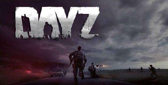 DayZ手机版图2