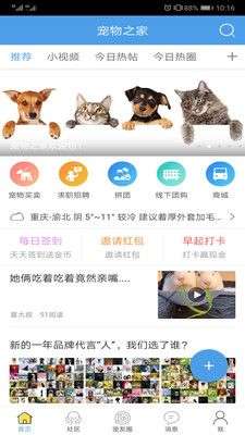 宠物之家图1