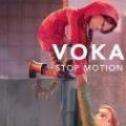 Vokabulantis手机版