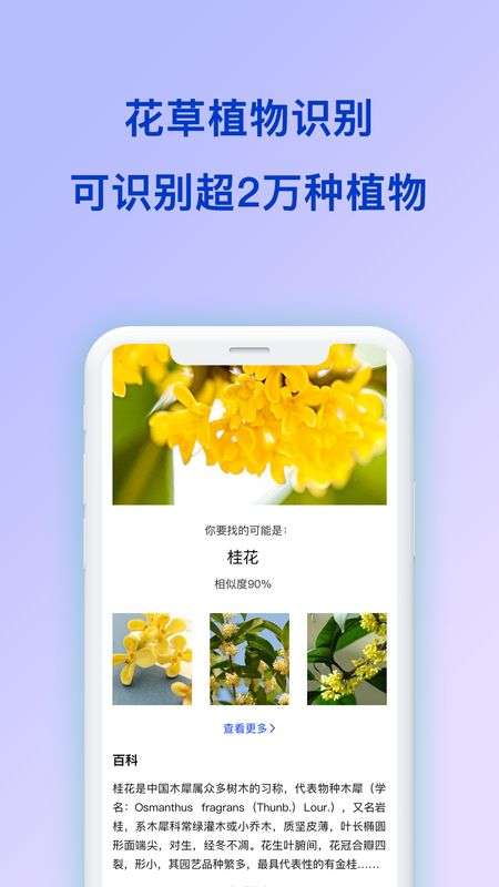 拍照识花君图2