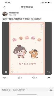 小萌猫图2