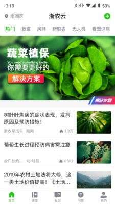 浙农云图1