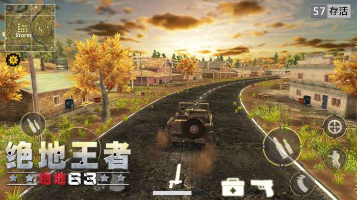 绝地王者手机版图3