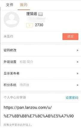 蓝凑云网盘图3