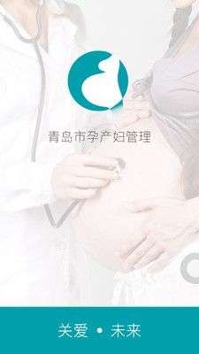 孕产妇管理系统图1