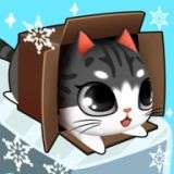 盒子里的猫游戏
