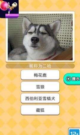 魔音球球游戏图2