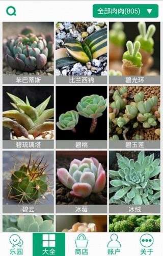 多肉植物图1