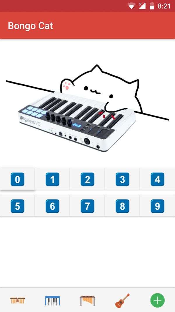 邦戈猫图3