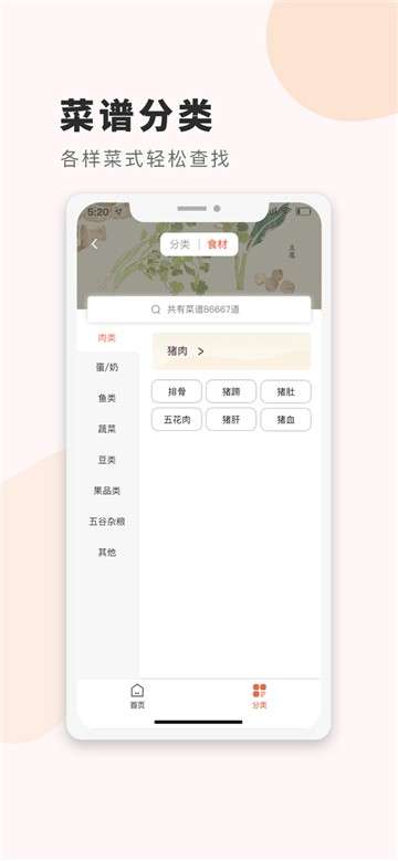 食谱大全菜谱图1