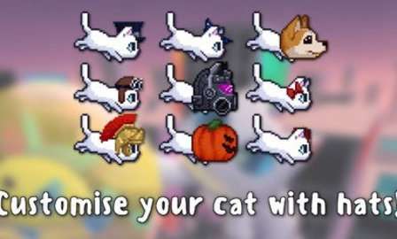 泡泡猫图3
