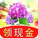 多多养花